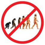 image by Zephyr Pfotenhauer