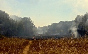 schwan lake park - twin lakes state beach 8/11/13, photo by rock pfotenhauer IMG_0282
