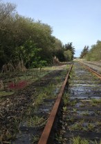 north coast, santa cruz rail line