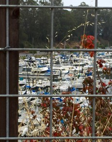 harbor fence view