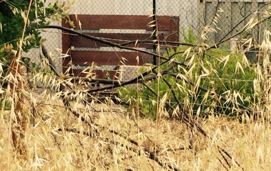 rusty bars four bars